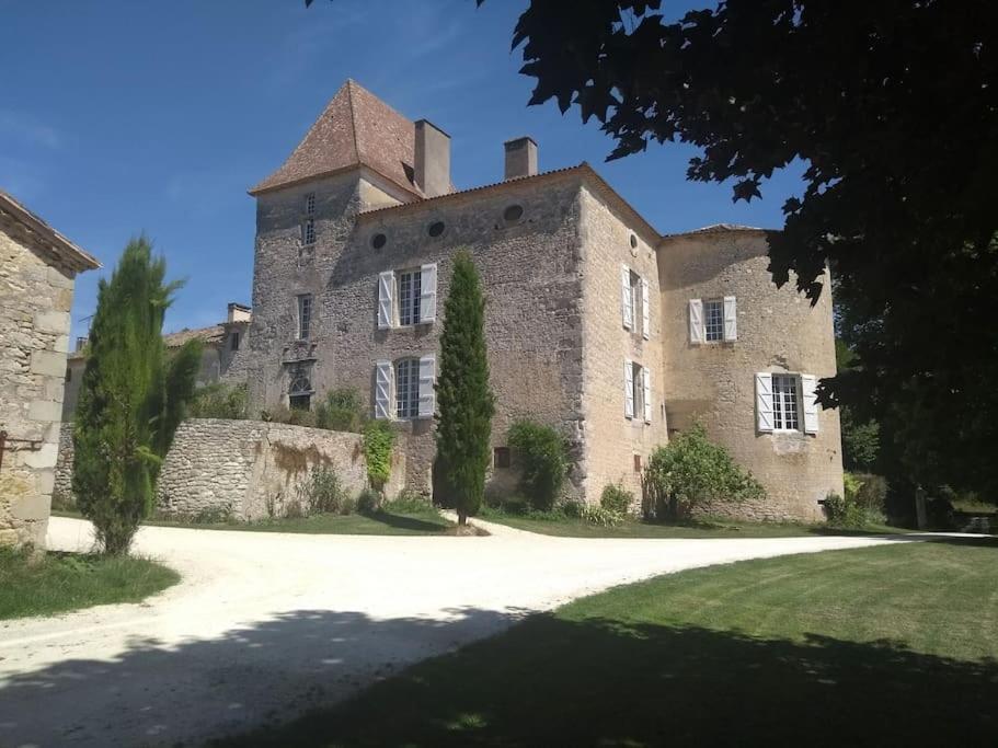 Chateau Barayre - Beautiful 12Th Century Castle With Pool And Large Garden Laussou Exterior photo